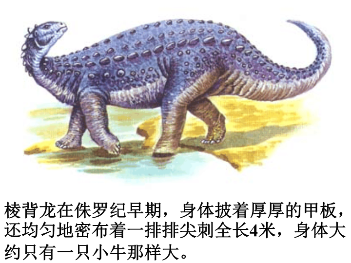 苏教版小学科学六年级下册《消失了的恐龙》PPT课件.ppt_第3页