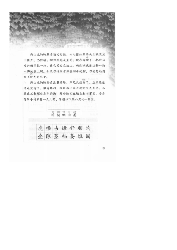 人教部编版四年级上册语文- 10 爬山虎的脚-教案 （pdf版).pdf_第3页