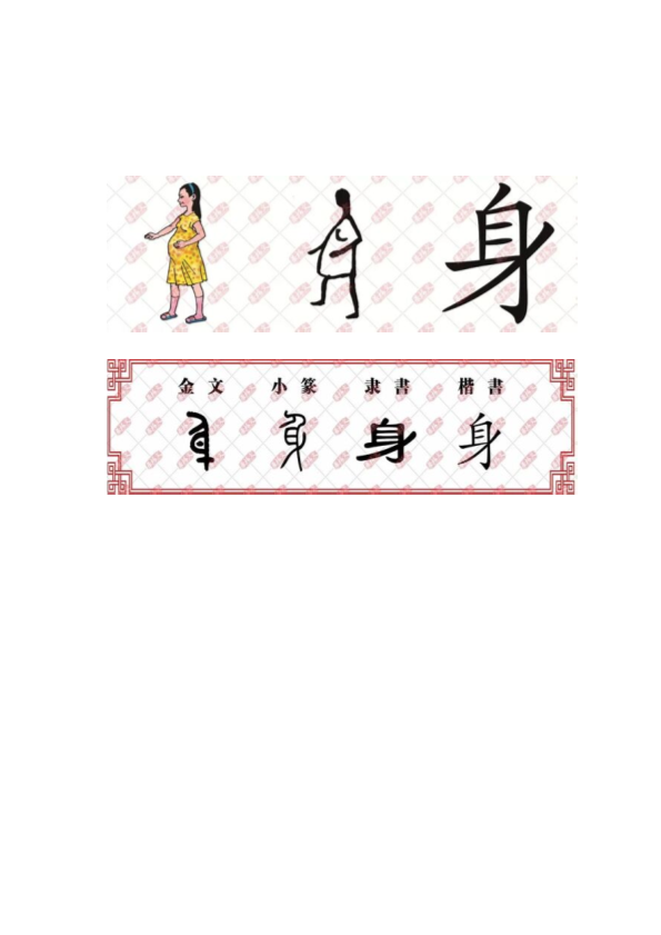 【汉字深度解析】今日解字：身.pdf