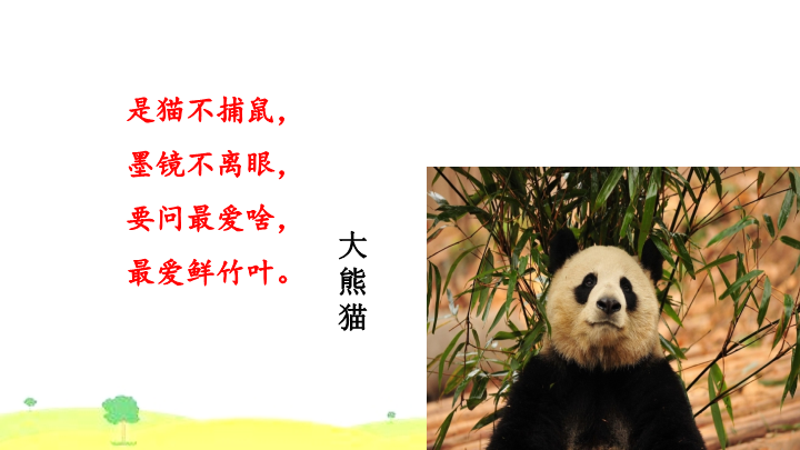 部编人教版三下《习作-国宝大熊猫》课件(11张ppt).pptx_第2页