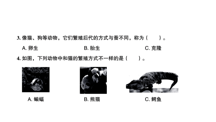 2020新教科版三年级下册科学第7课时 动物的繁殖 练习题课件（图片版）.ppt_第3页