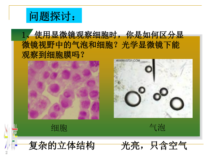 【沪科版】高中生命科学第一册：3.1《细胞膜》课件3_第2页