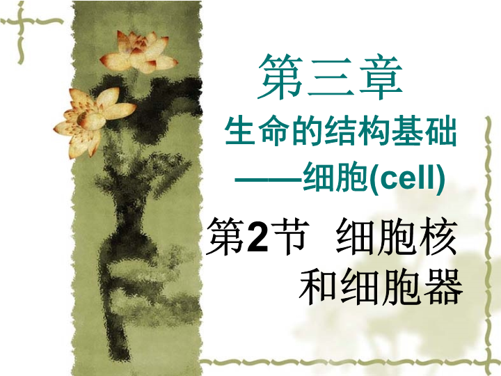 【沪科版】高中生命科学第一册：3.2《细胞核和细胞器》课件4_第4页