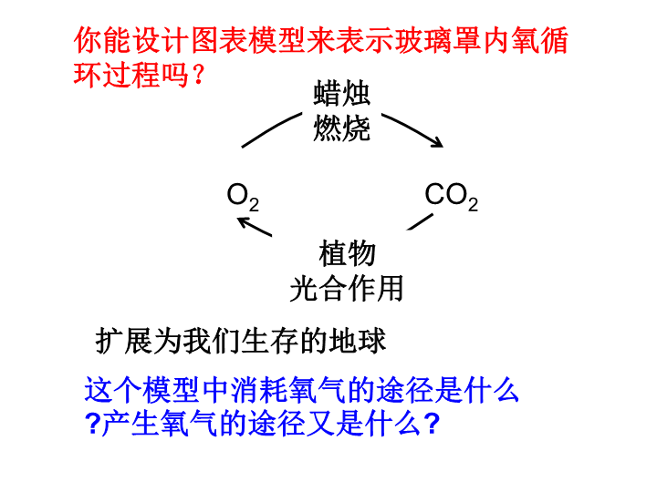 【华师大版】科学九年级下：3.2《自然界中的碳循环和氧循环》课件3_第4页