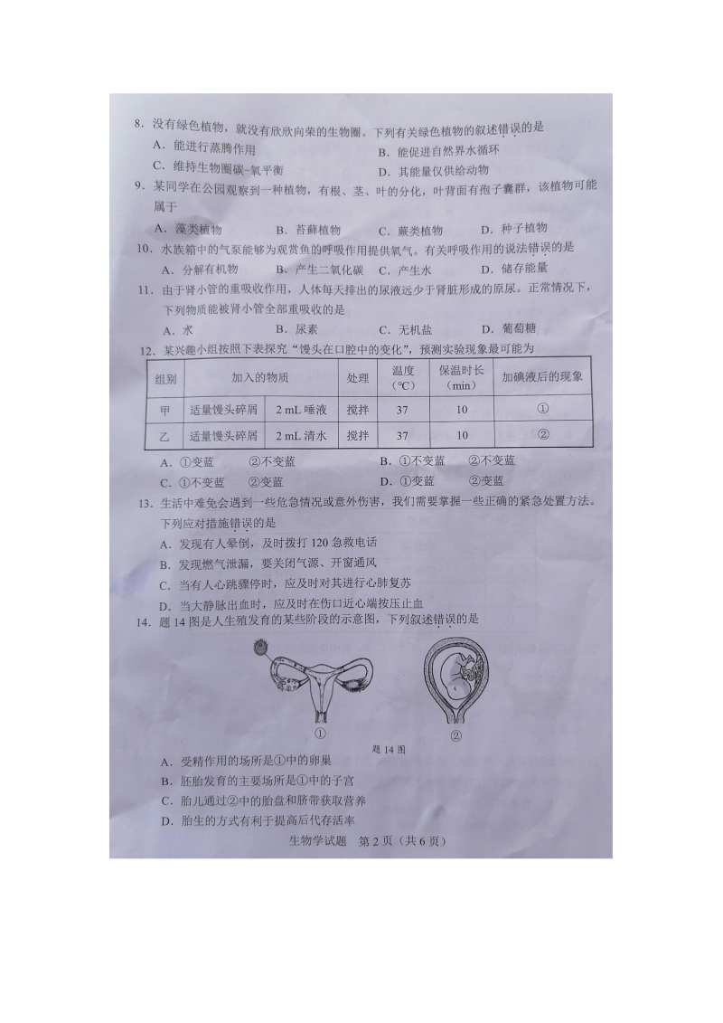 2022年广东省初中学业水平考试生物真题卷卷（含答案）.docx_第2页