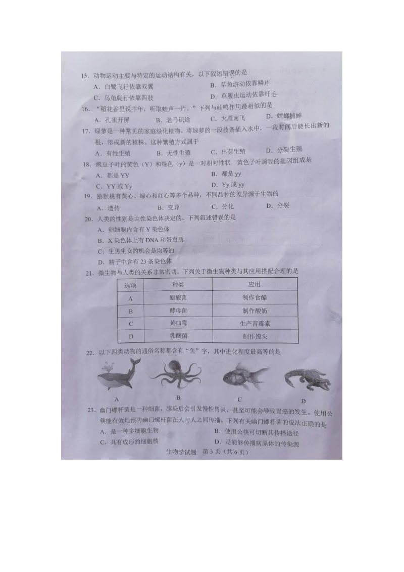 2022年广东省初中学业水平考试生物真题卷卷（含答案）.docx_第3页