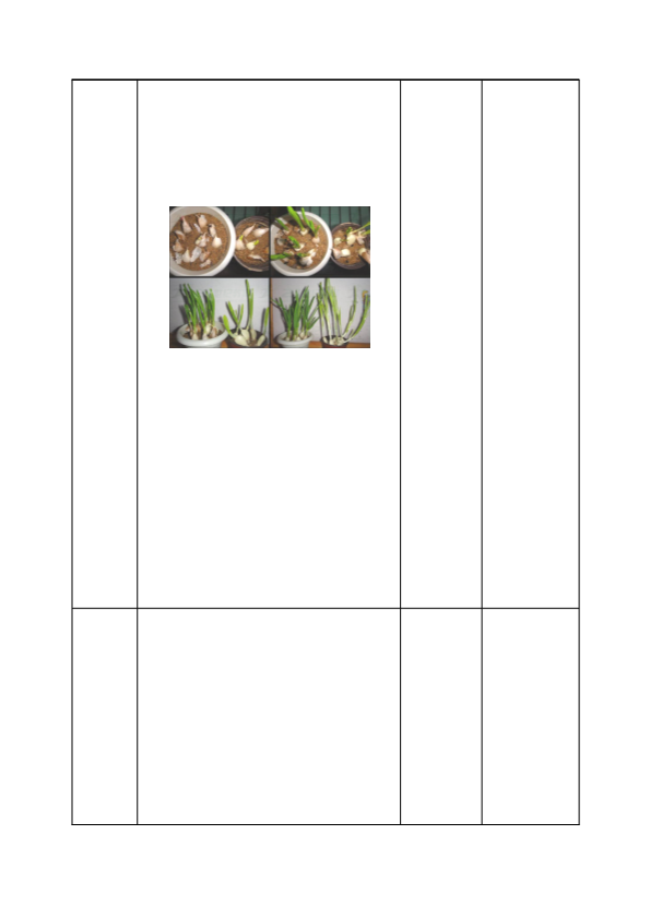 小学一年级科学教科版上册我们知道的植物_教案.pdf_第3页