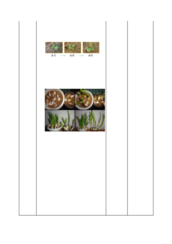 小学一年级科学教科版上册植物是“活”的吗_教案.pdf_第3页