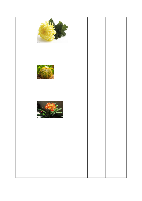 小学一年级科学教科版上册校园里的植物_教案.pdf_第3页