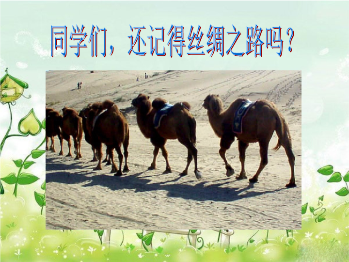 人教版新课标语文六年级下《和田的维吾尔人》课件2