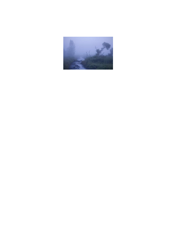 人教部编版语文二年级上雾在哪里教案.pdf_第2页