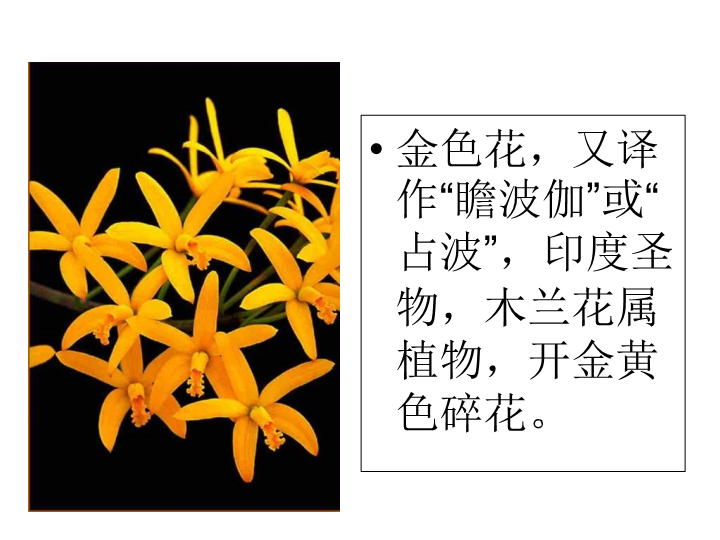 七年级《第7课：散文诗二首：金色花》(语文)_第2页