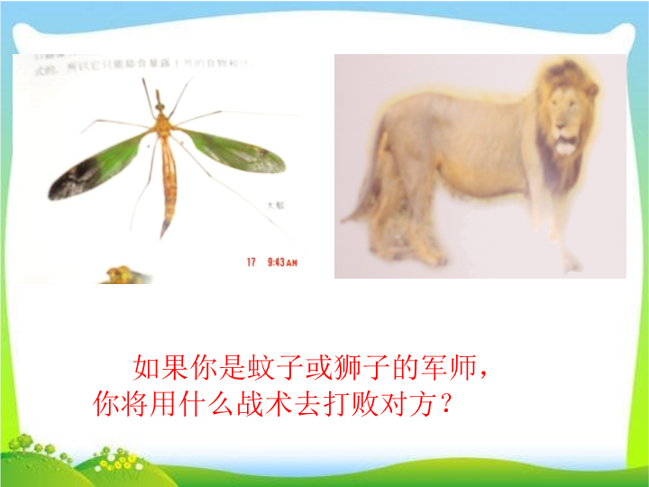 七年级《第24课：寓言四则：蚊子和狮子》(语文）_第3页