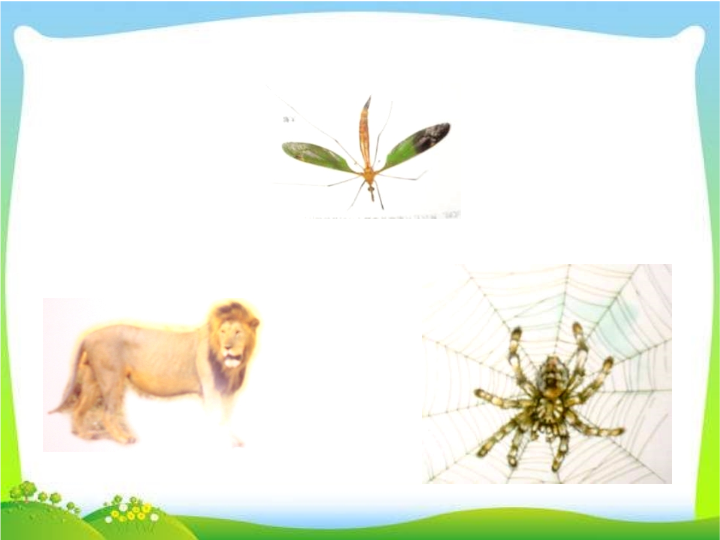 七年级《第24课：寓言四则：蚊子和狮子》(语文）_第4页