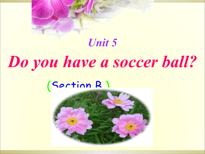 七年级Unit5 Do you have a soccer ball Section B教研课