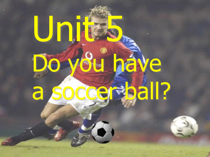 七年级英语公开课ppt Unit5 Do you have a soccer ball复习课课件