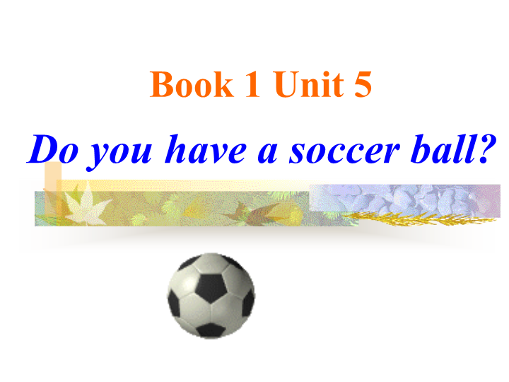 七年级教学获奖课件Unit5 Do you have a soccer ball ppt (英语)