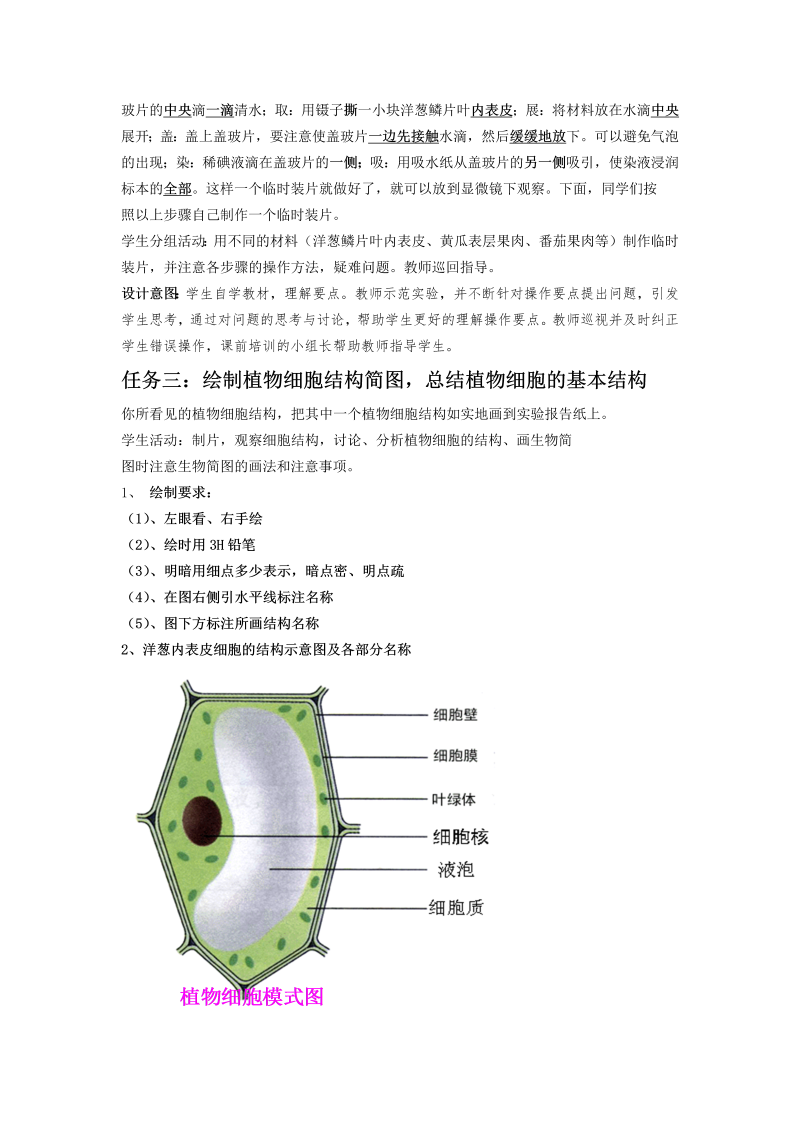七年级《植物细胞》教案教学模板(新生物)_第4页