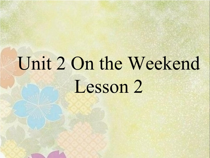 四年级英语上册  Unit 2 On the weekend Lesson2 课件3 (人教版）