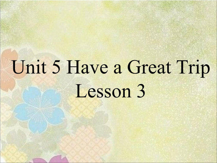 五年级英语下册 Unit5 Have a Great Trip Lesson3 课件3