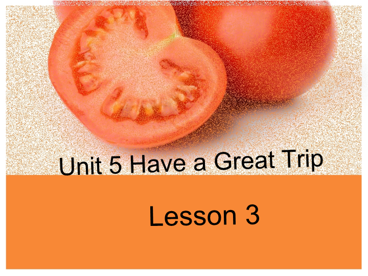 五年级英语下册 Unit5 Have a Great Trip Lesson3 课件2