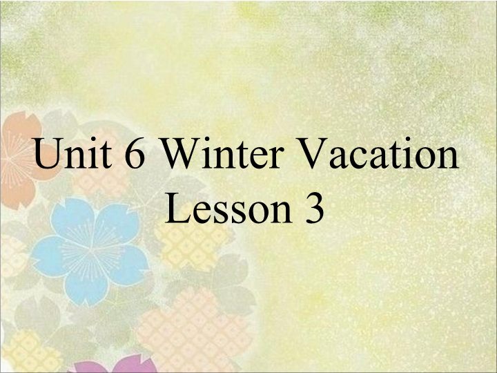 六年级英语上册  Unit6 Winter Vacation    Lesson3 课件3