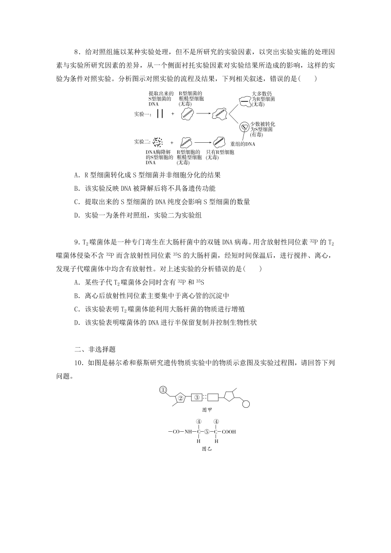 2022届新教材高考生物一轮复习：DNA是主要的遗传物质（Word版，含解析）_第3页