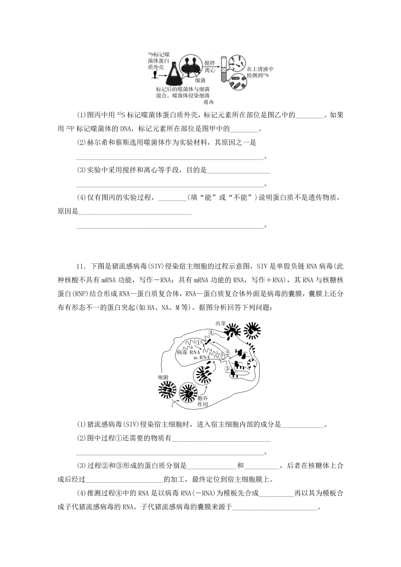 2022届新教材高考生物一轮复习：DNA是主要的遗传物质（Word版，含解析）_第4页