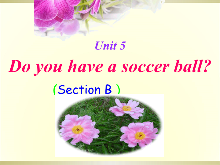七年级英语上册Unit5 Do you have a soccer ball Section B教研课