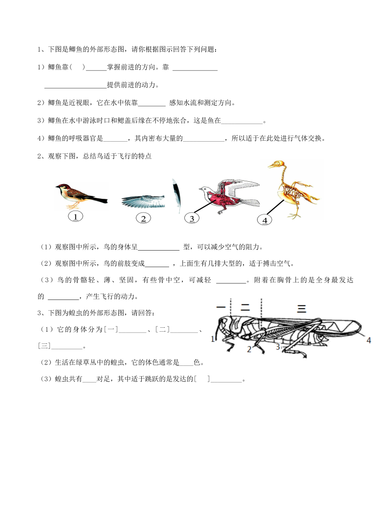 八年级生物上册《动物的主要类群附参考答案》试卷_第4页