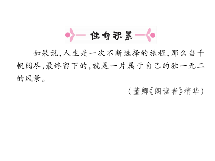 八年级语文下册在长江源头各拉丹冬习题（共44张PPT）_第3页