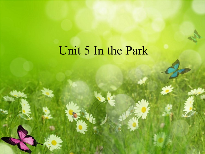 二年级英语上册   Unit 5 In the Park课件（人教版一起点）